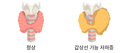 con1이미지